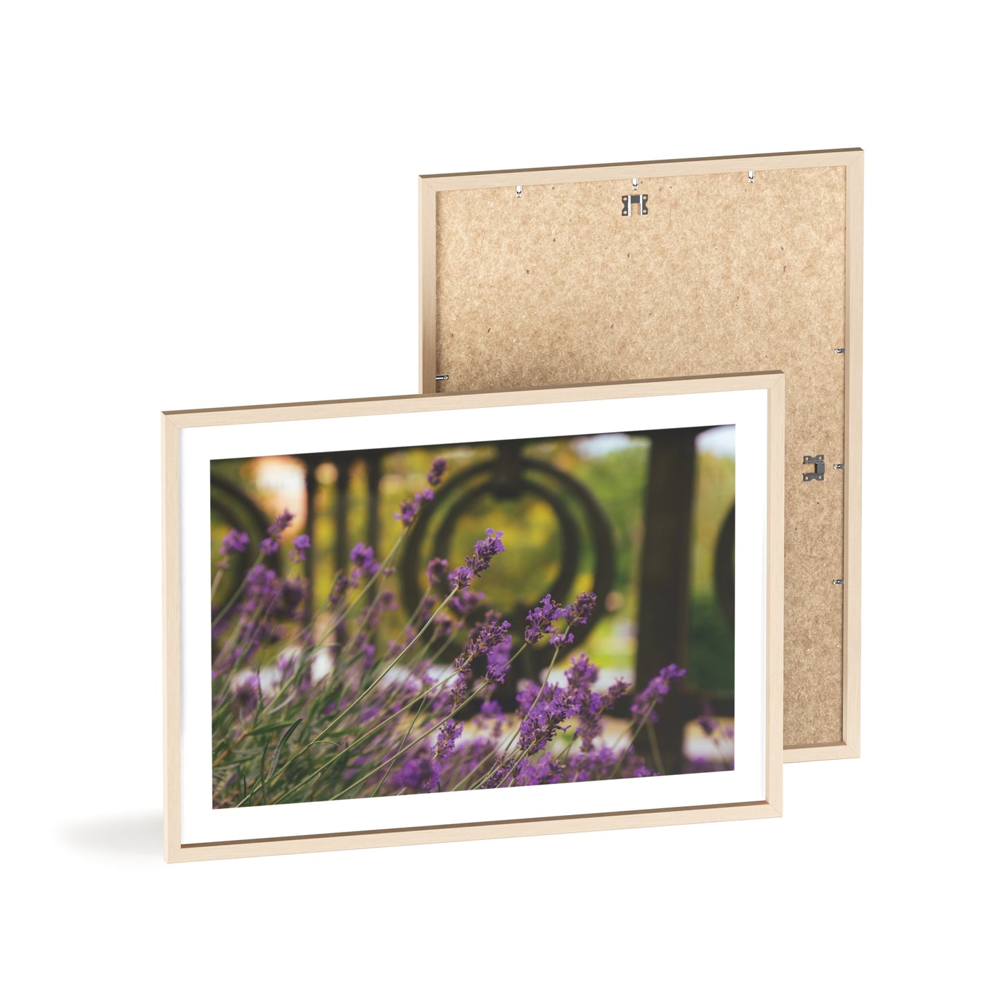 Wien, Wildblumen (3/3)