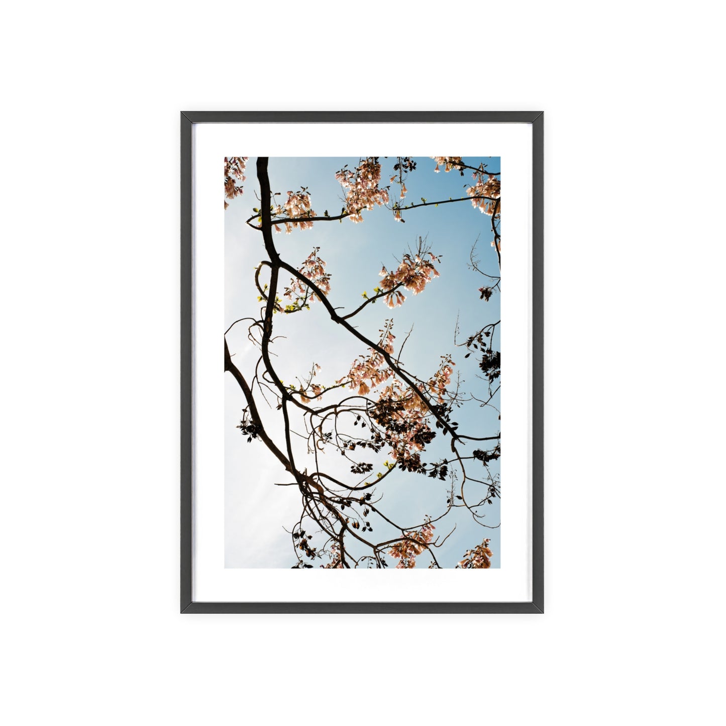 Wien, Frühling in St. Marx