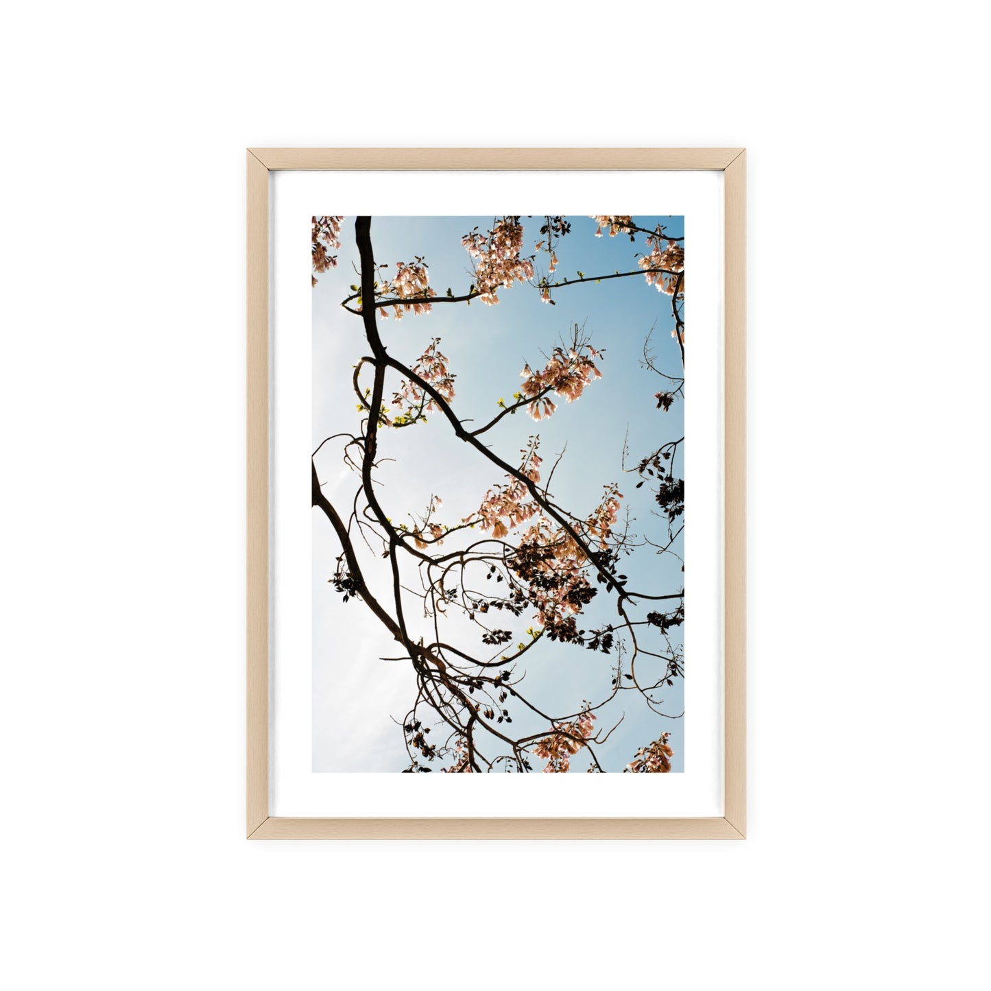 Wien, Frühling in St. Marx