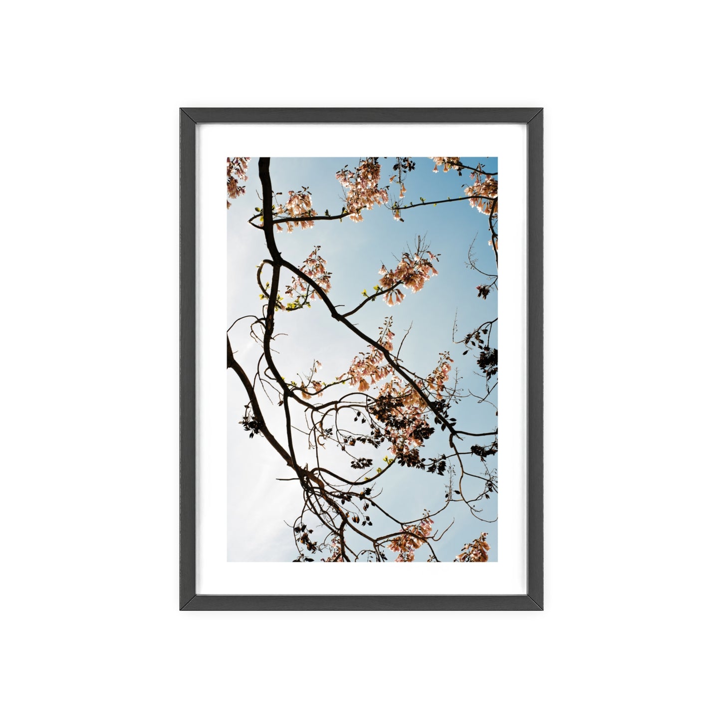 Wien, Frühling in St. Marx