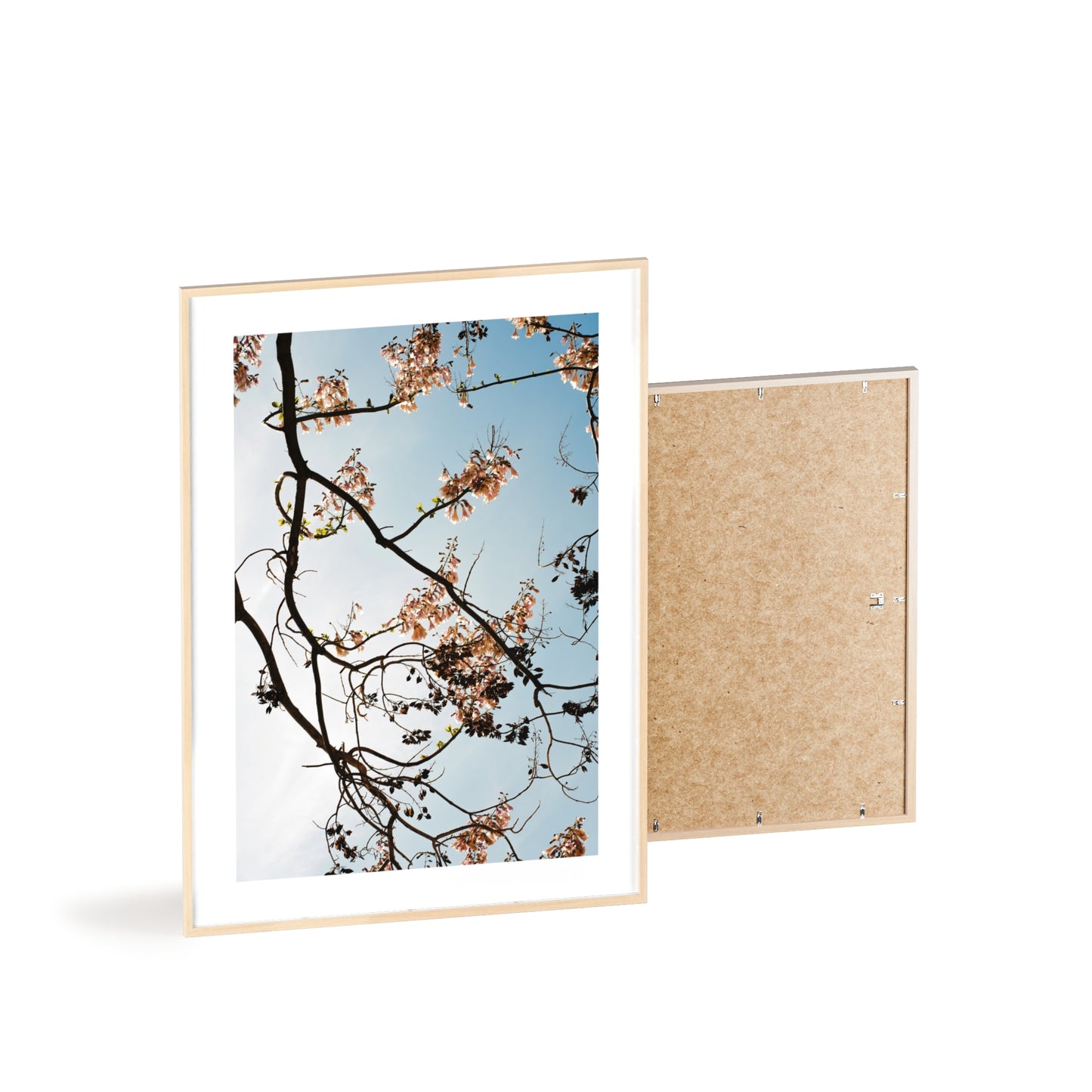 Wien, Frühling in St. Marx