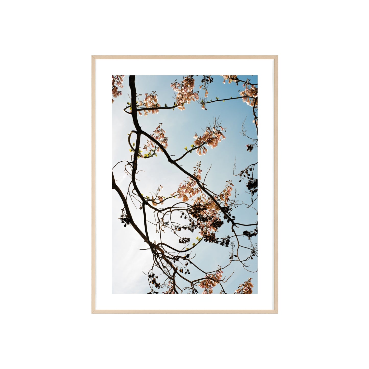 Wien, Frühling in St. Marx