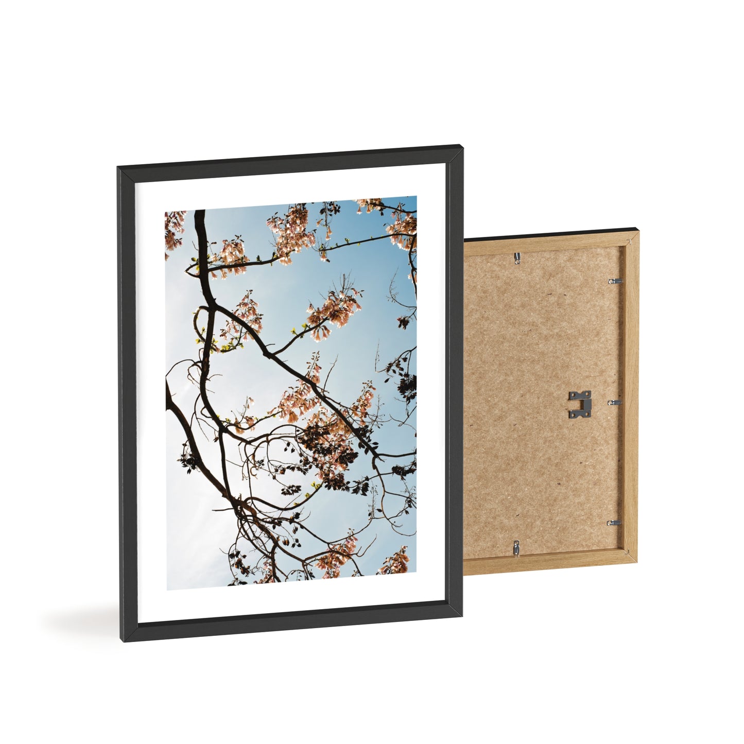 Wien, Frühling in St. Marx