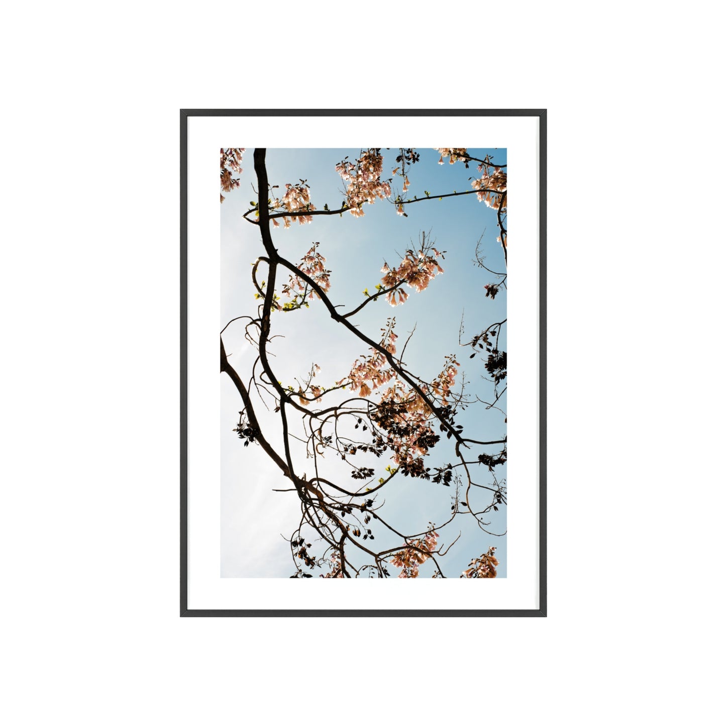 Wien, Frühling in St. Marx