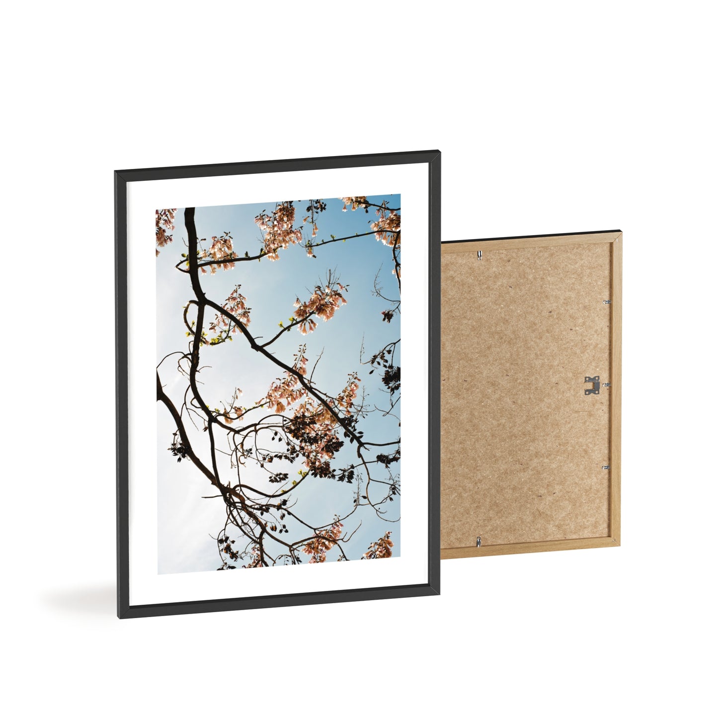 Wien, Frühling in St. Marx