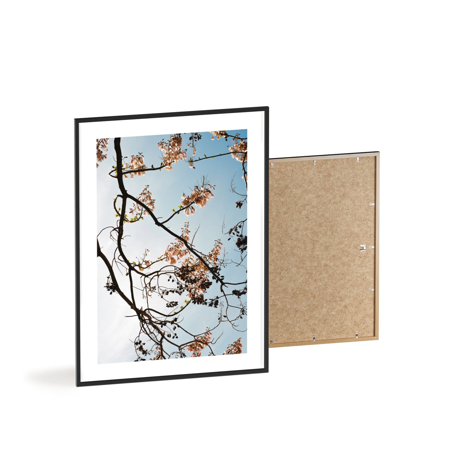 Wien, Frühling in St. Marx